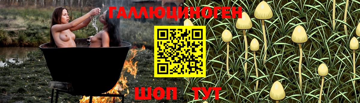 Галлюциногенные грибы Psilocybine cubensis Видное